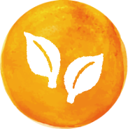 lumina-care-about-leaf_icon